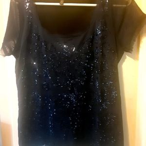 THRDUP -when i find it - sparkly short sleeve blouse